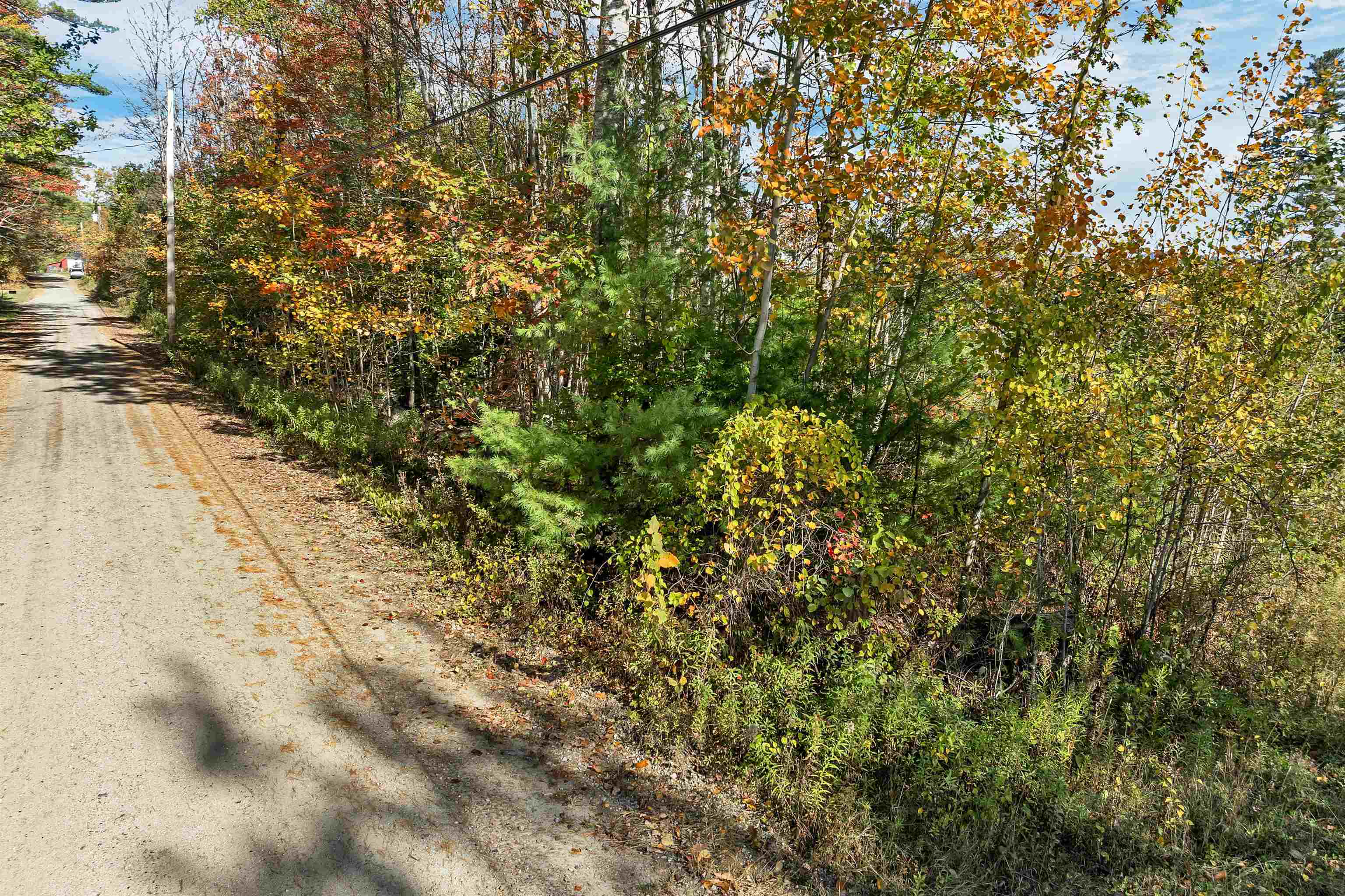 44 Williams Hill Road Grafton, NH 03240 - Photo 3 of 11