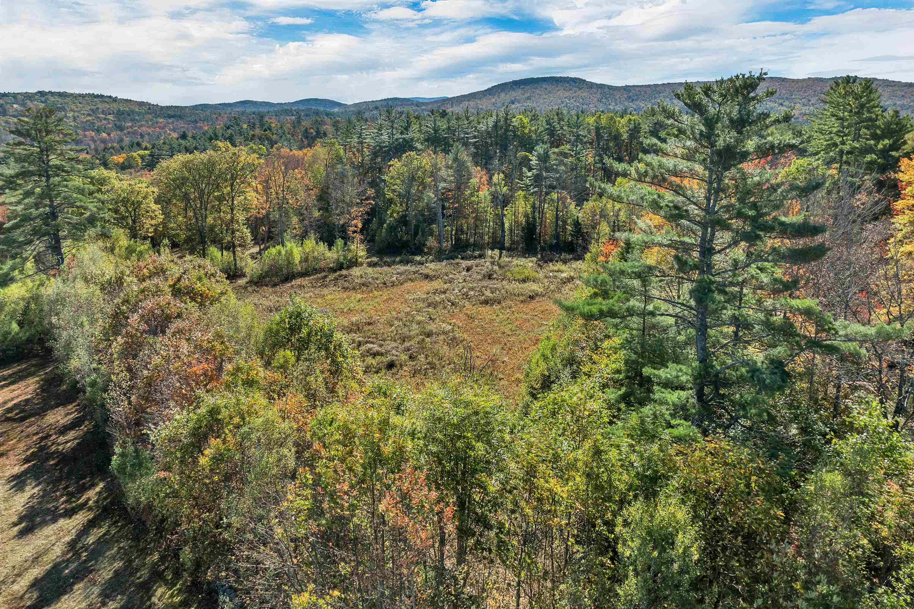 44 Williams Hill Road Grafton, NH 03240 - Photo 5 of 11