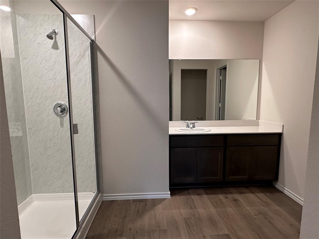 3917 Turquoise Avenue Celina, TX 75009 - Photo 8 of 19 a bathroom with a vanity and a mirror