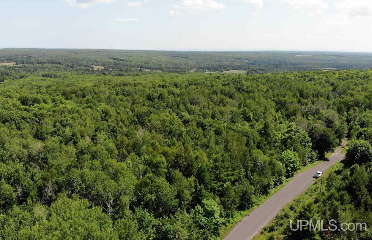 Tbd Lilja Road Calumet, MI 49913 - Photo 7 of 24