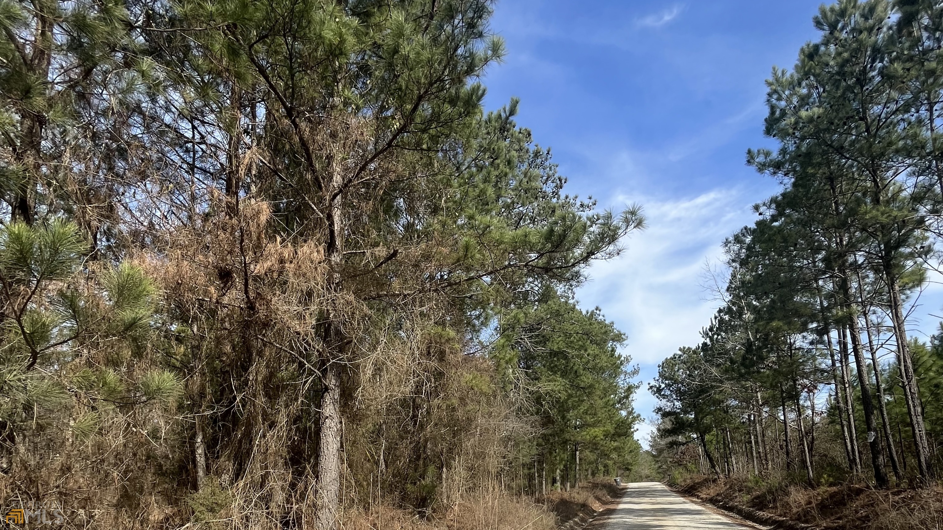 0 Barnes Mountain Road Mansfield, GA 30055 - Photo 1 of 1 Gallery Image 1