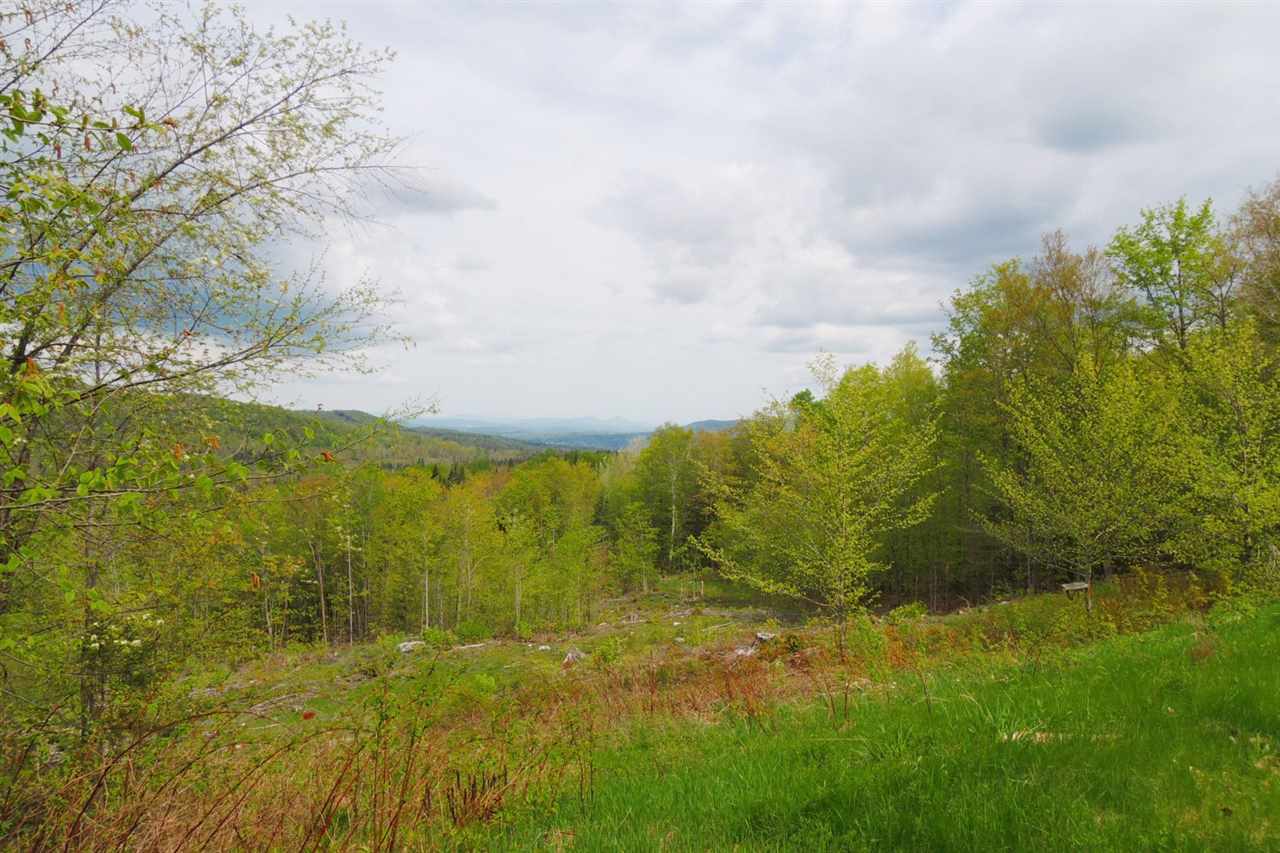 2246 New Duck Pond Road Sheffield, VT 05866 - Photo 2 of 28