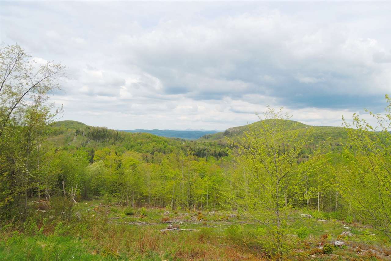 2246 New Duck Pond Road Sheffield, VT 05866 - Photo 23 of 28