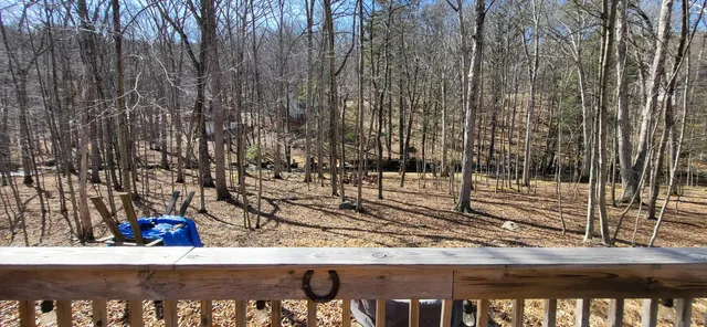 a view of a yard with trees