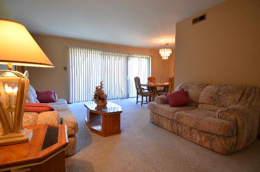 9105 South Roberts Road, Unit 3D Hickory Hills, IL 60457 - Photo 2 of 9