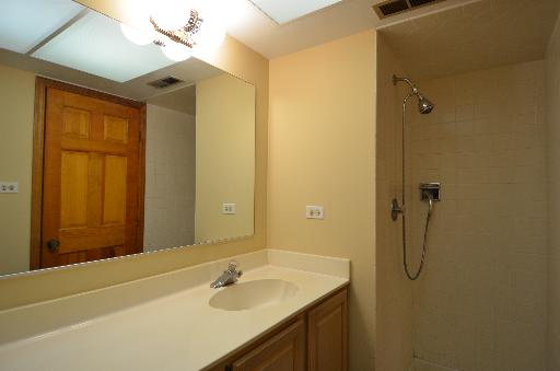 9105 South Roberts Road, Unit 3D Hickory Hills, IL 60457 - Photo 6 of 9