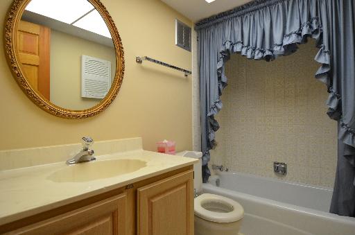 9105 South Roberts Road, Unit 3D Hickory Hills, IL 60457 - Photo 8 of 9