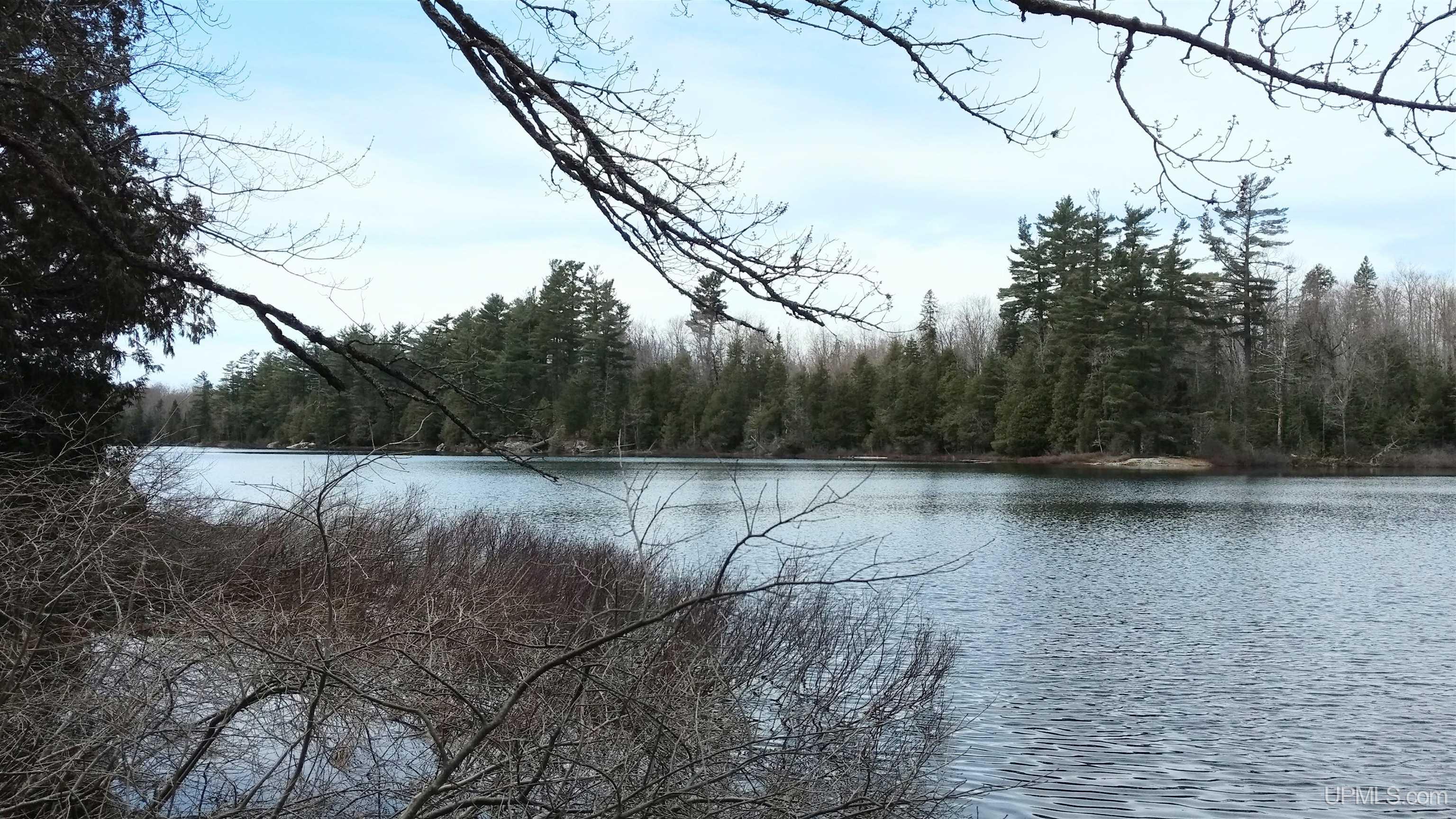 Tbd Tbd Durchman Lake Road Lanse, MI 49946 - Photo 12 of 56