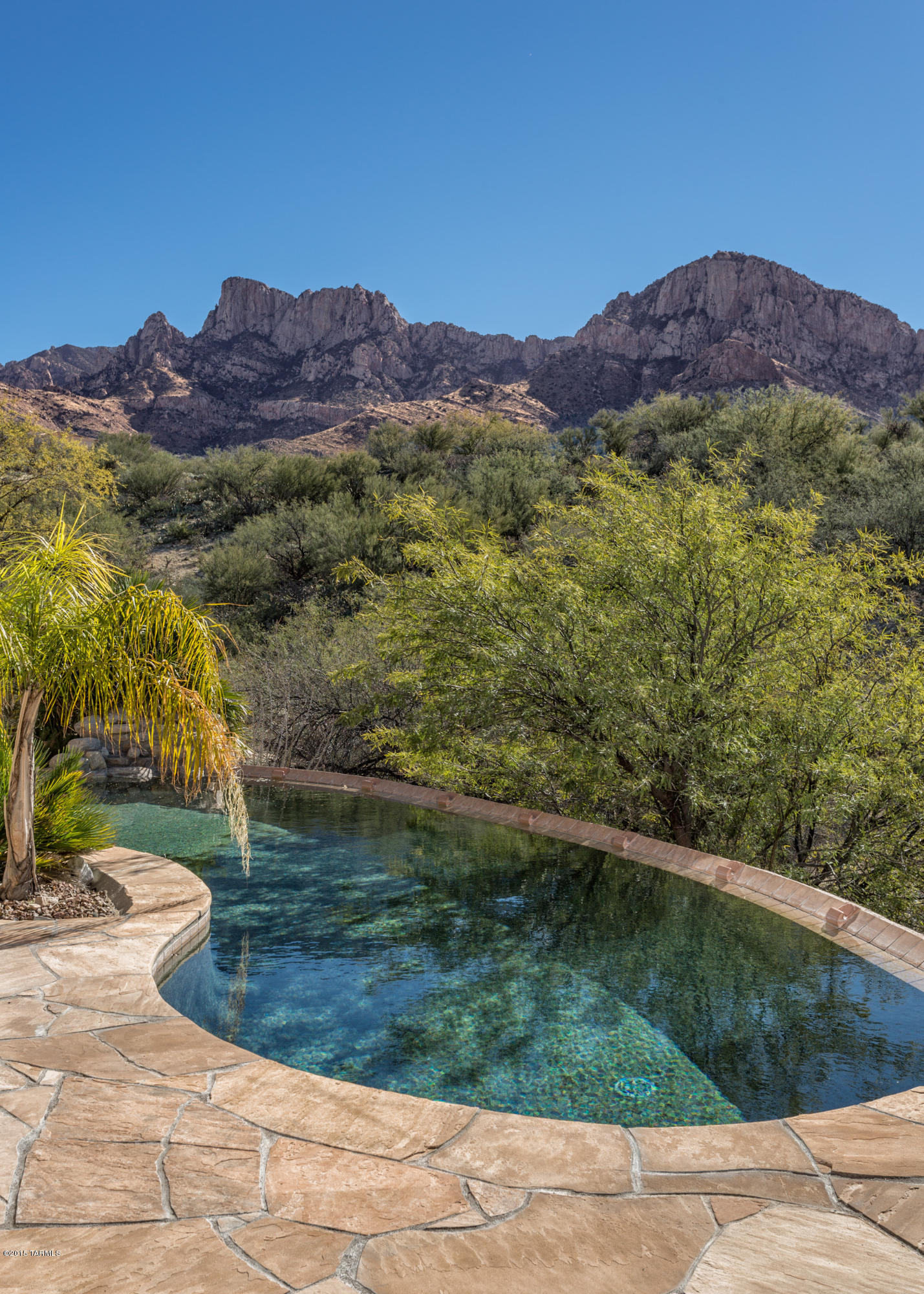 1630 East Buck Ridge Place Tucson, AZ 85737 - Photo 1 of 23