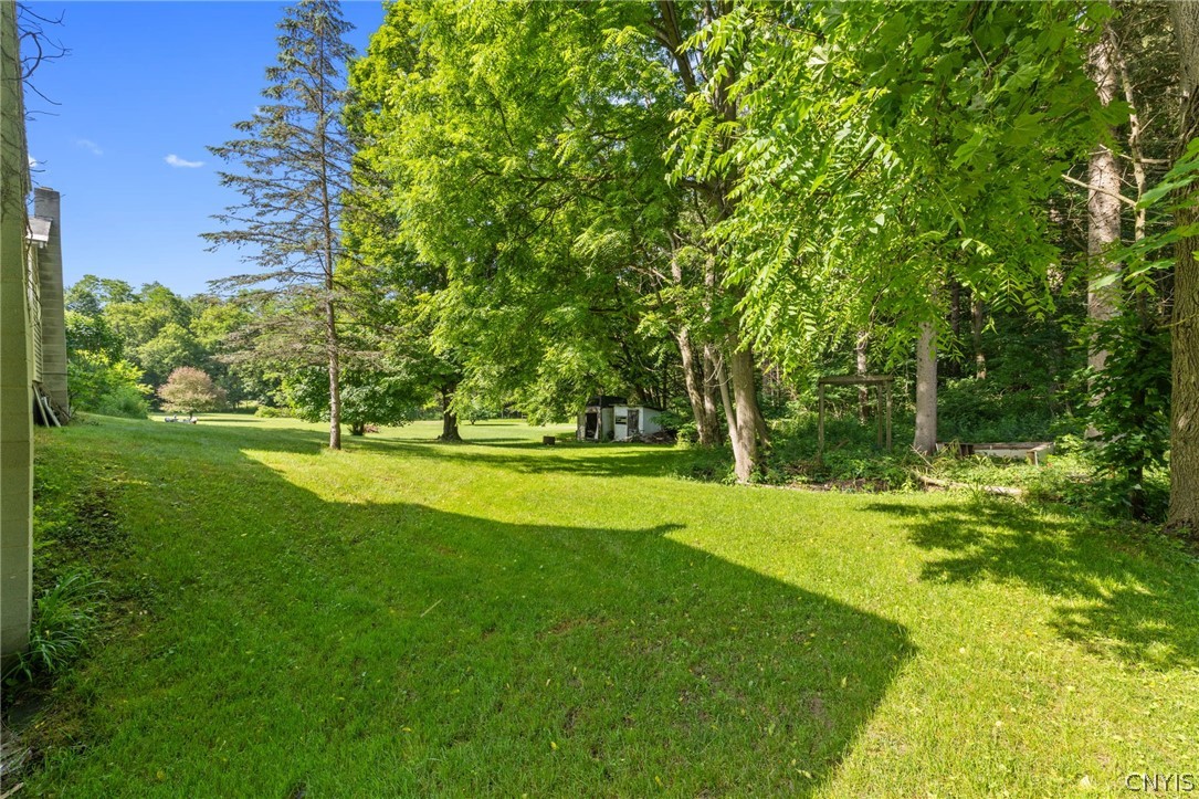 13811 Martville Road Sterling, NY 13111 - Photo 42 of 43 Beautiful back yard with mature trees