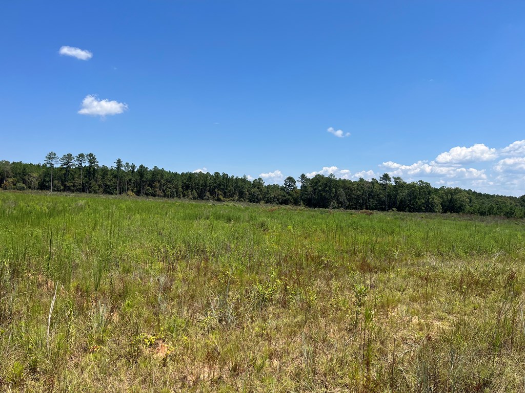 22 Rd Columbia Al Abbeville, AL 36310 - Photo 4 of 4
