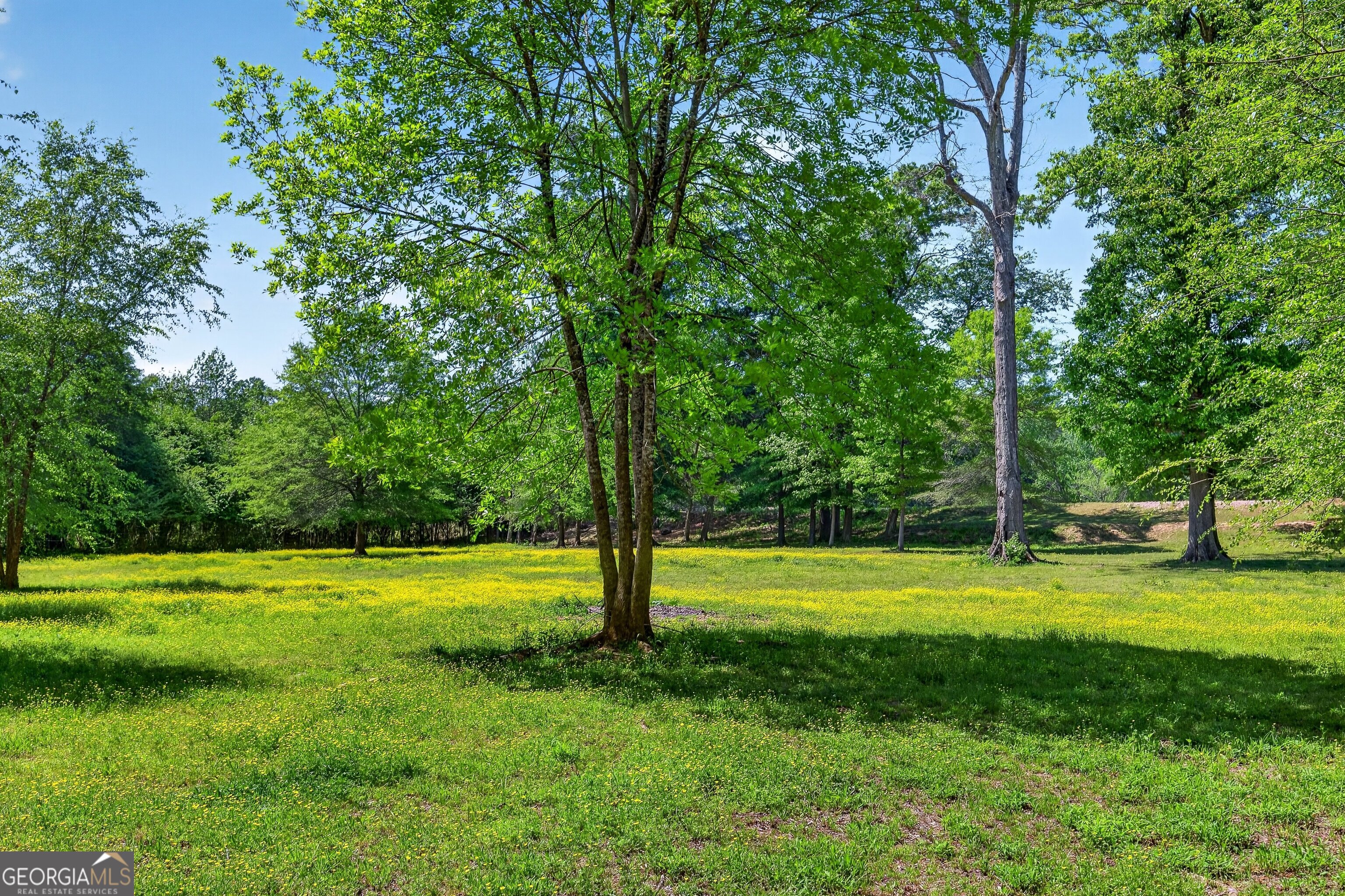 511 West McIntosh Road Brooks, GA 30205 - Photo 65 of 88