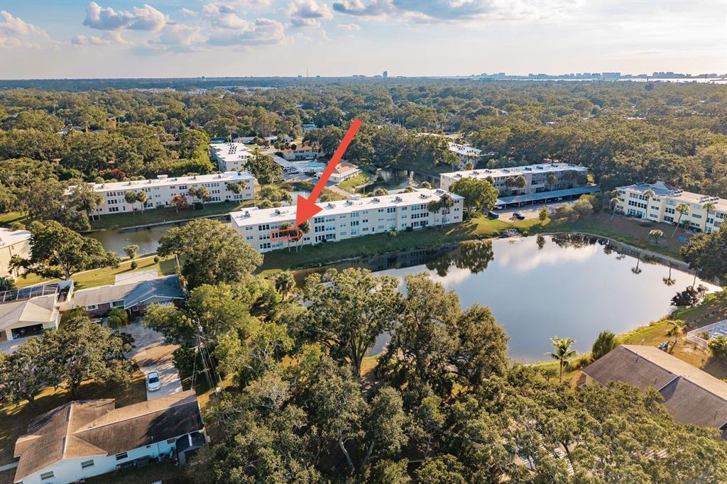 936 Virginia Street, Unit 208 Dunedin, FL 34698 - Photo 16 of 26