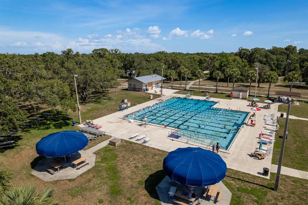 936 Virginia Street, Unit 208 Dunedin, FL 34698 - Photo 25 of 26