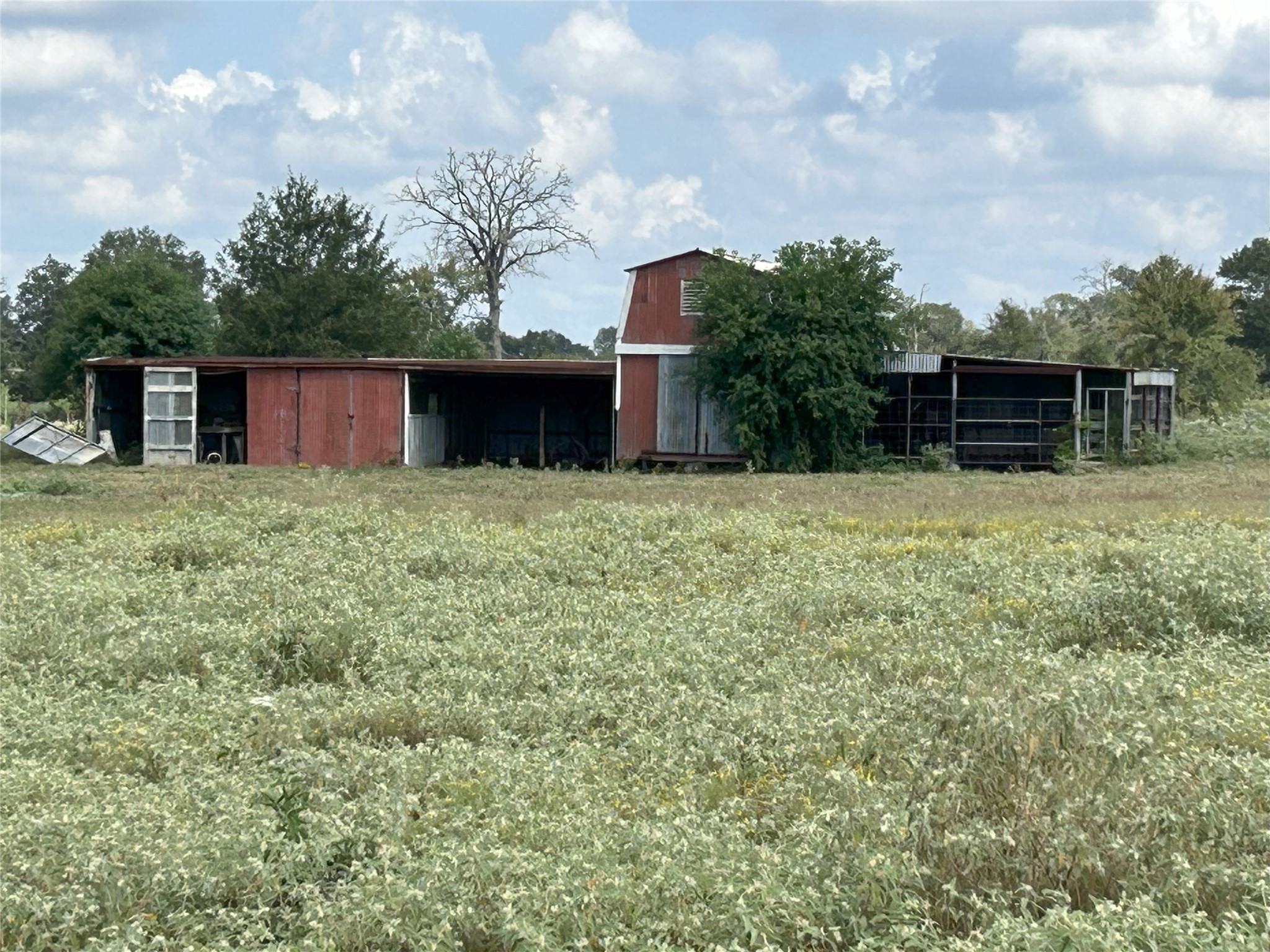 32868 Fm 1736 Road Hempstead, TX 77445 - Photo 11 of 18 a house with trees in the background