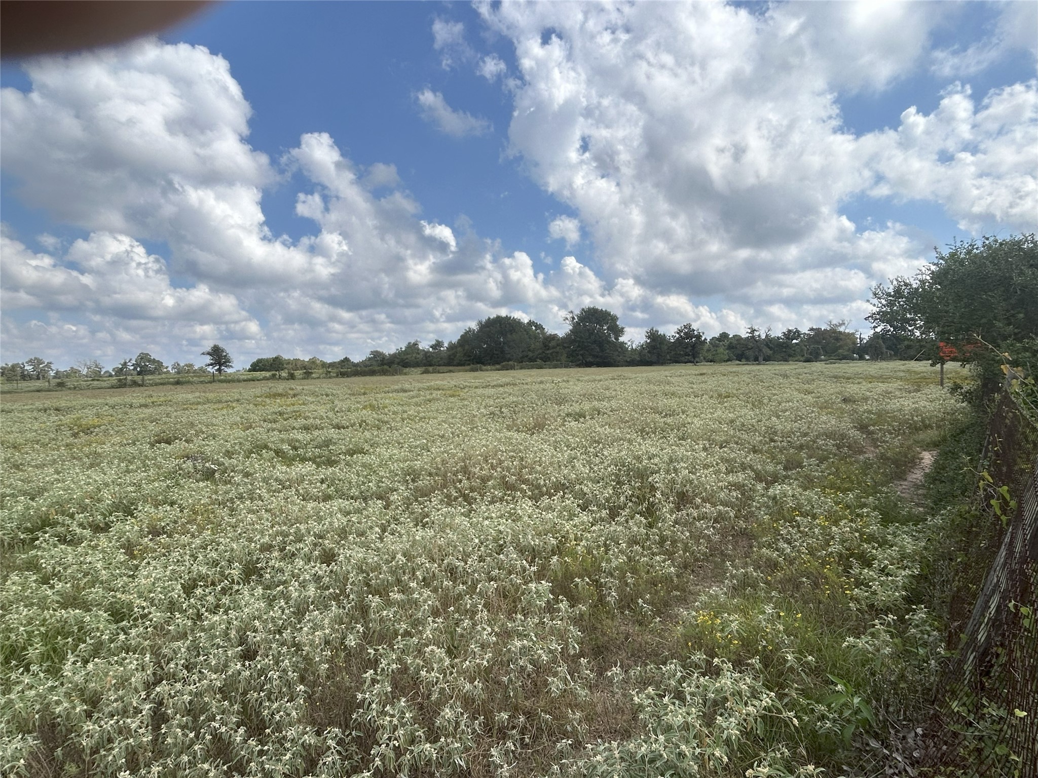 32868 Fm 1736 Road Hempstead, TX 77445 - Photo 13 of 18 a view of a field with an ocean and trees