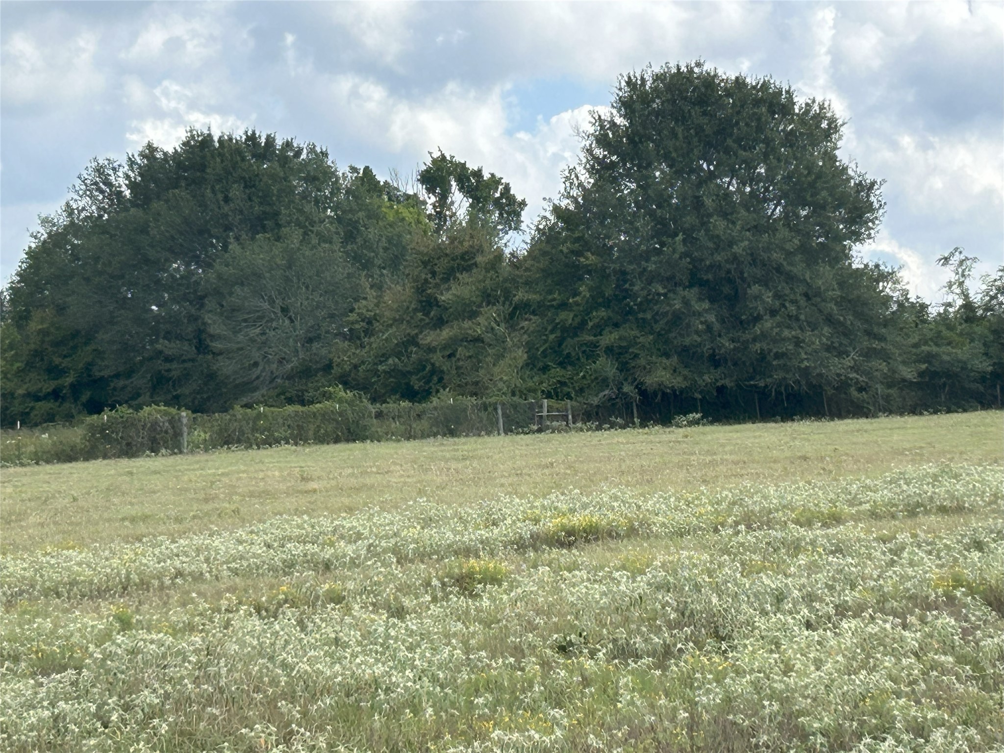 32868 Fm 1736 Road Hempstead, TX 77445 - Photo 16 of 18 a view of a field with a tree