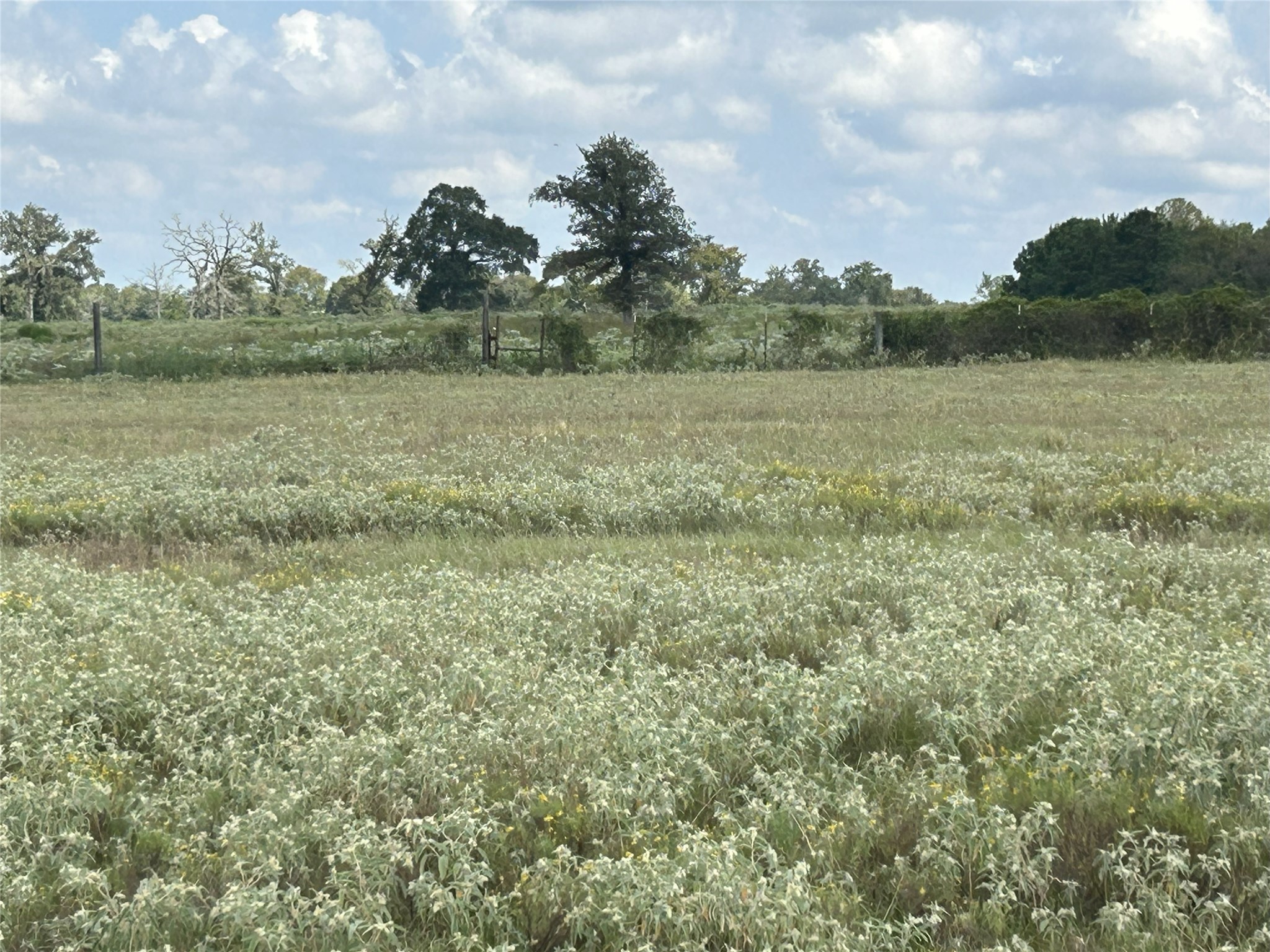 32868 Fm 1736 Road Hempstead, TX 77445 - Photo 17 of 18 a view of a lake with houses in the back
