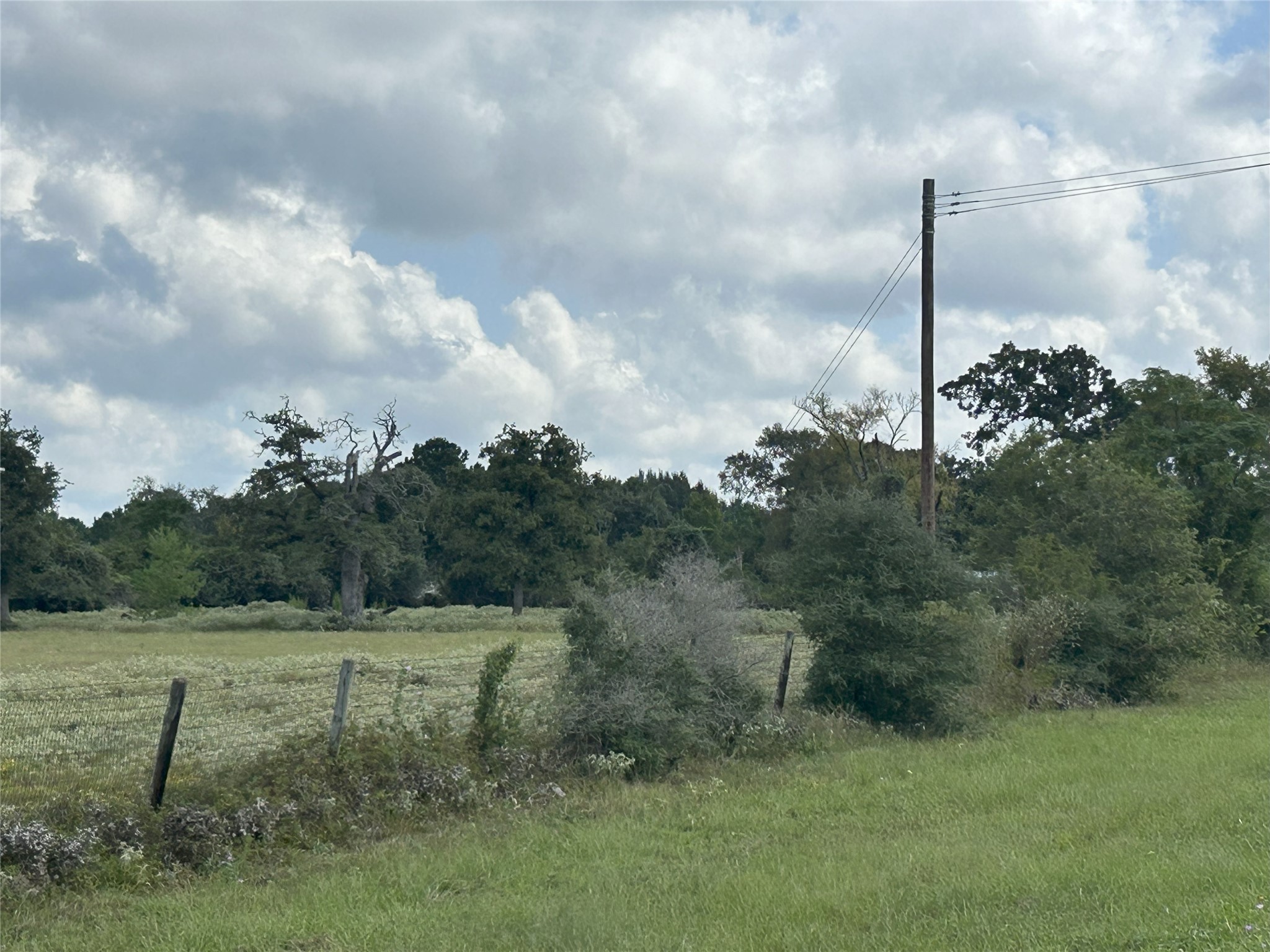 32868 Fm 1736 Road Hempstead, TX 77445 - Photo 18 of 18 a view of a yard