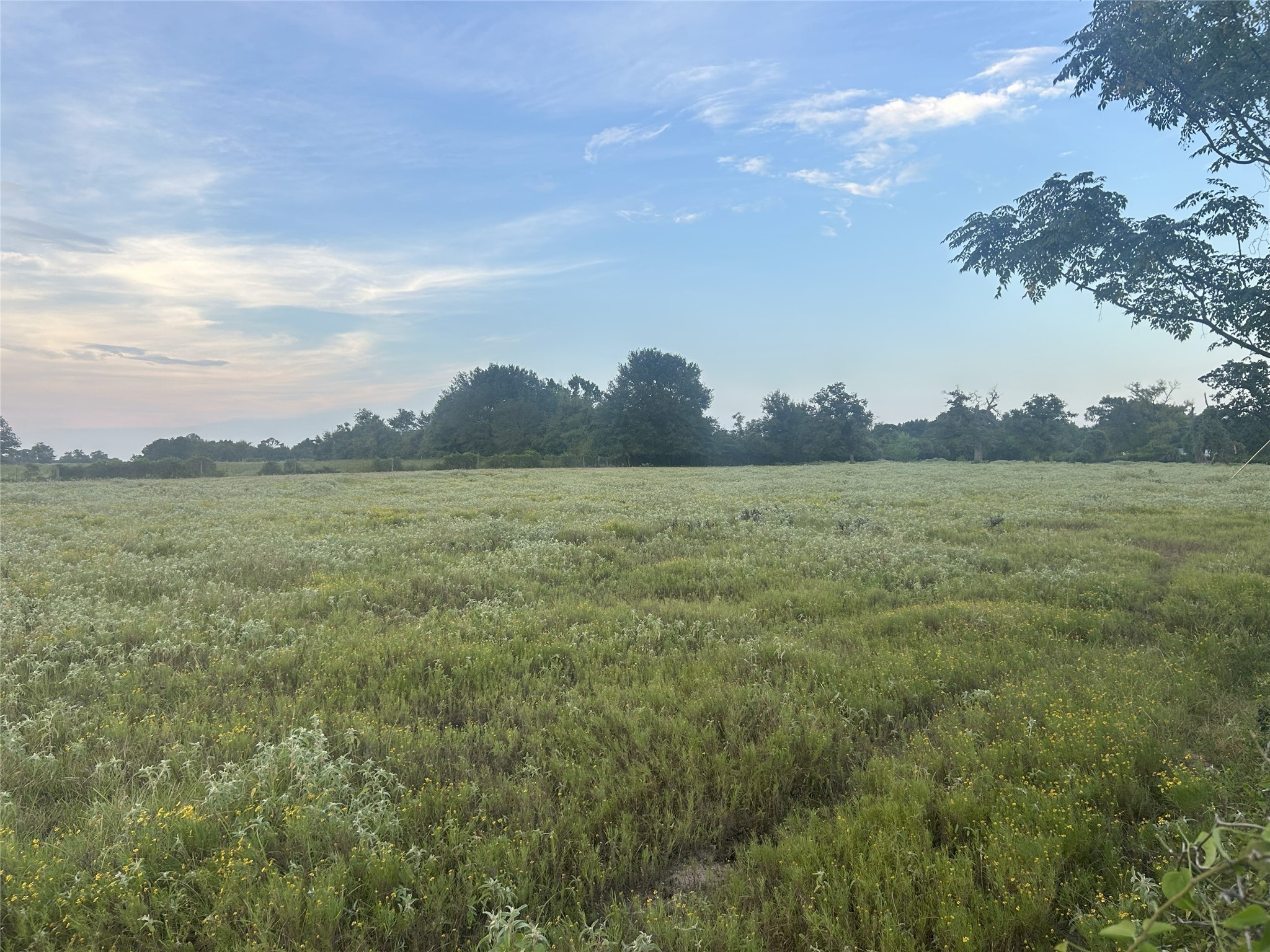 32868 Fm 1736 Road Hempstead, TX 77445 - Photo 3 of 18 a view of a lake with houses in the back
