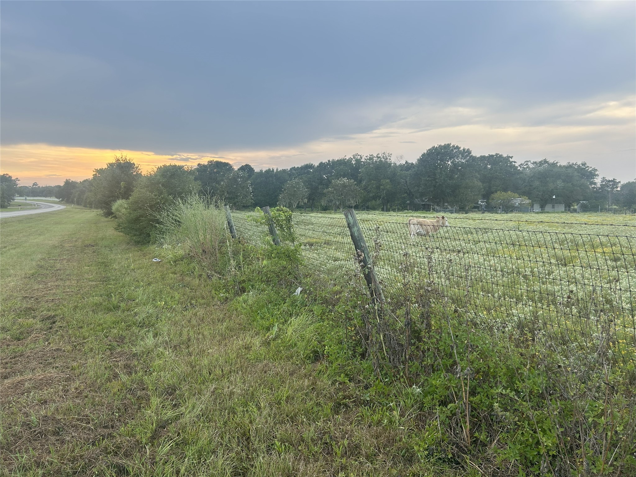 32868 Fm 1736 Road Hempstead, TX 77445 - Photo 8 of 18