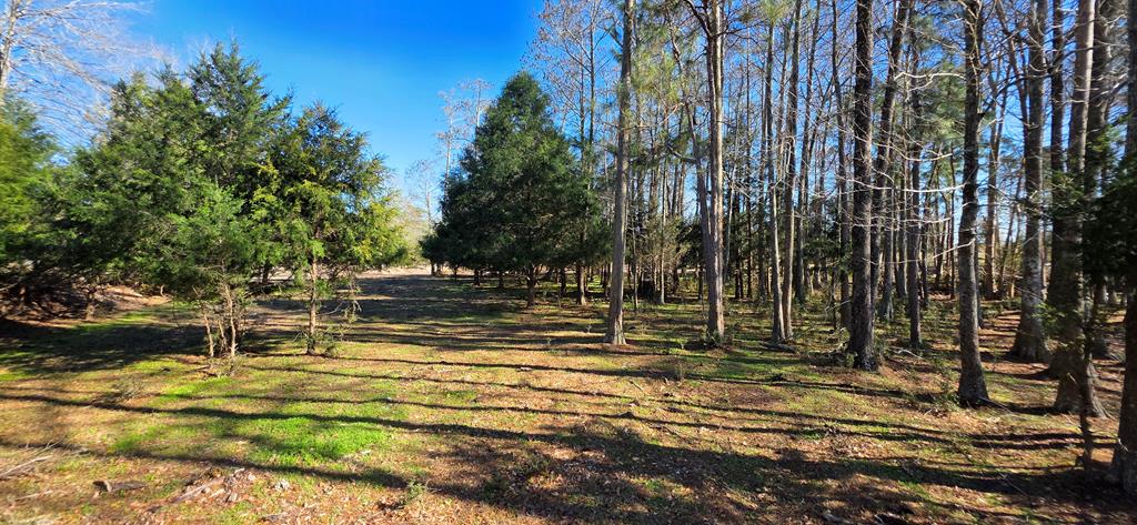 12.7-acres Nobles Road Dothan, AL 36301 - Photo 34 of 41