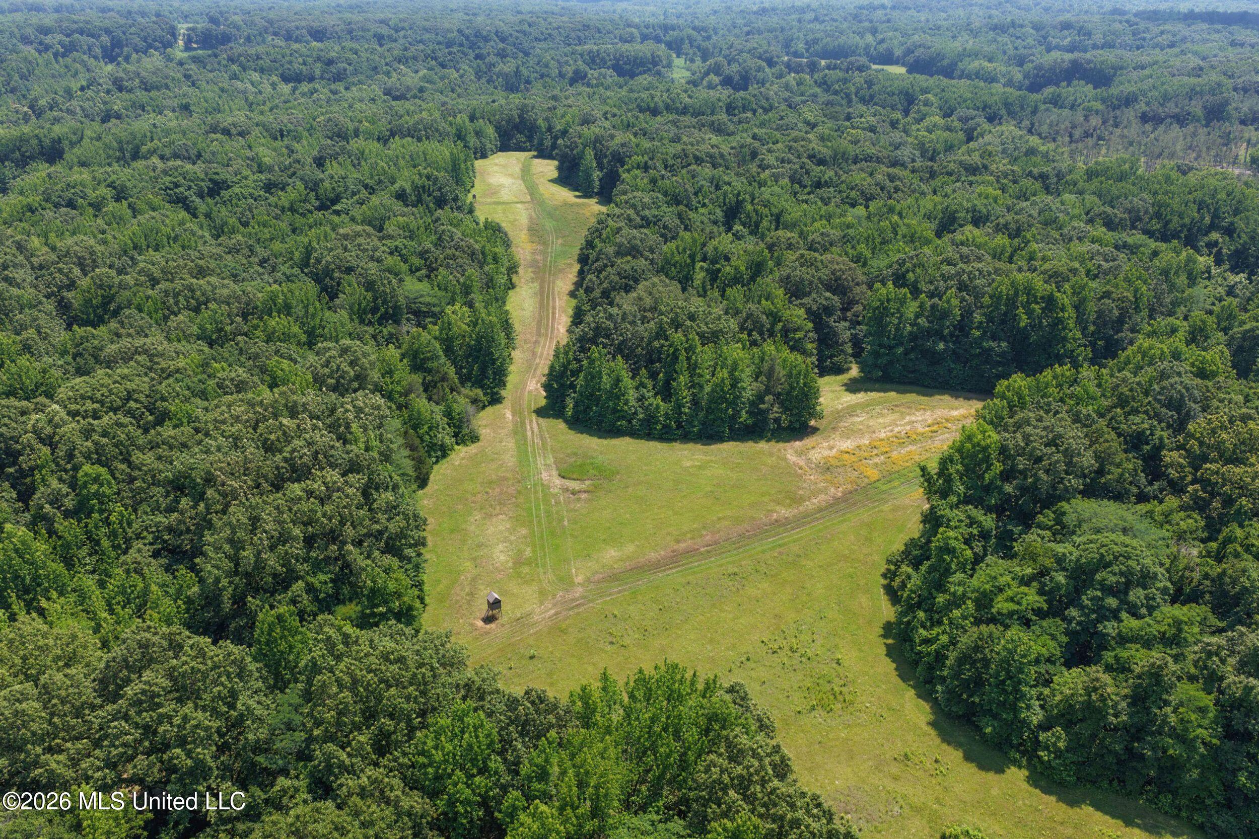 884 Avant Road Crenshaw, MS 38621 - Photo 45 of 154 4dbyicr44