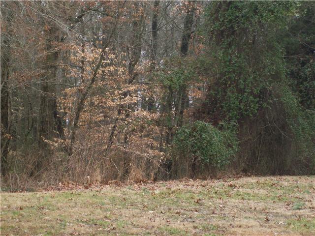 136 Foxrun Springfield, TN 37172 - Photo 6 of 7 DOESN'T GET ANY BETTER THEN THIS!!