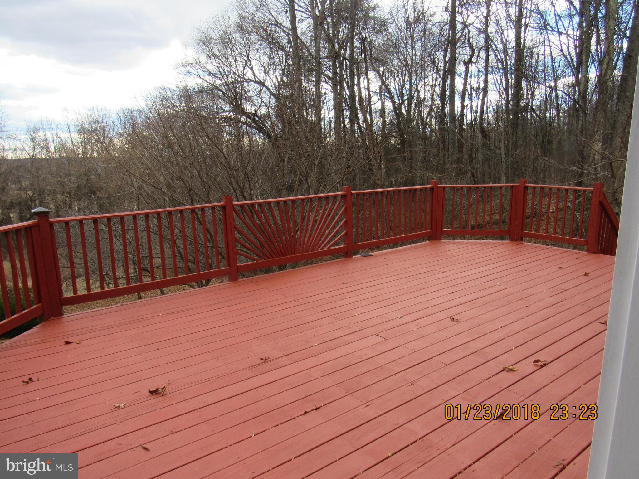 7575 Moormont Road Rapidan, VA 22733 - Photo 17 of 30 Exterior (General)rear deck