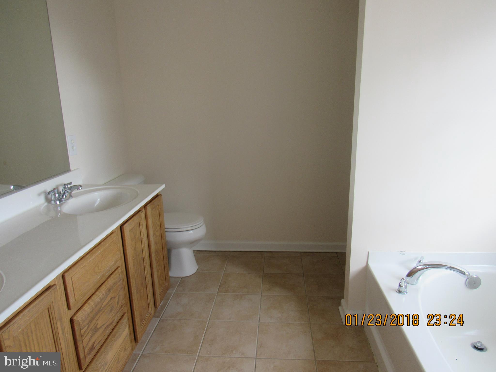 7575 Moormont Road Rapidan, VA 22733 - Photo 27 of 30 Bath (Master)
