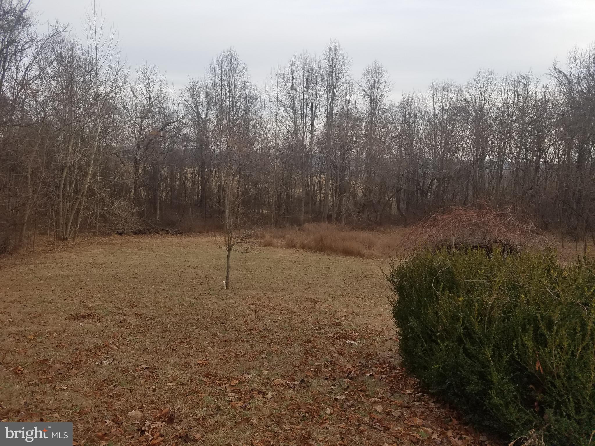 7575 Moormont Road Rapidan, VA 22733 - Photo 4 of 30 View