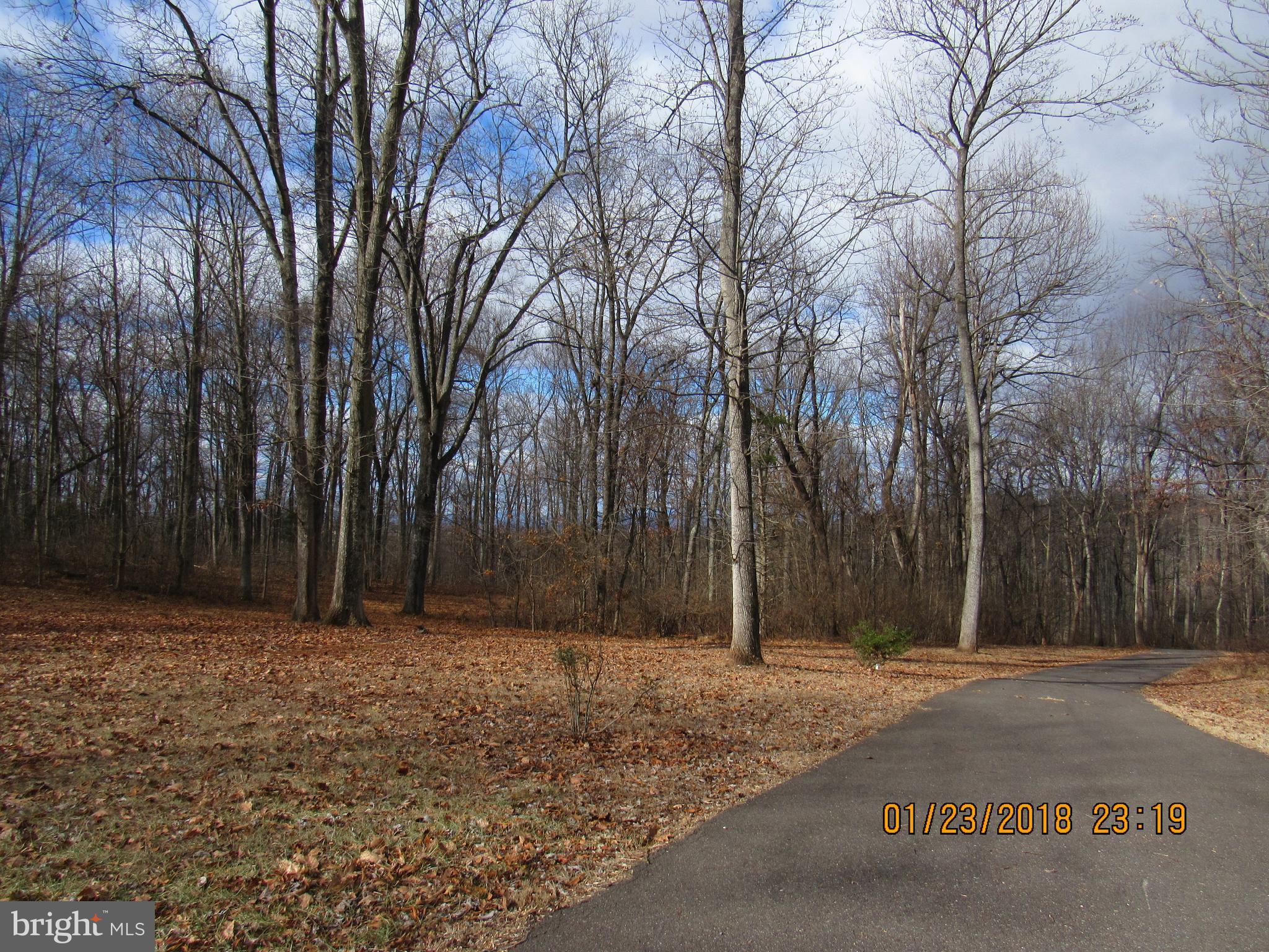 7575 Moormont Road Rapidan, VA 22733 - Photo 5 of 30 View from front of home
