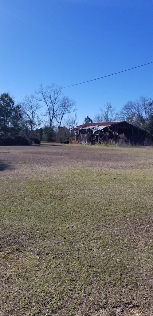 439 Bethlehem Road Midland City, AL 36350 - Photo 1 of 1