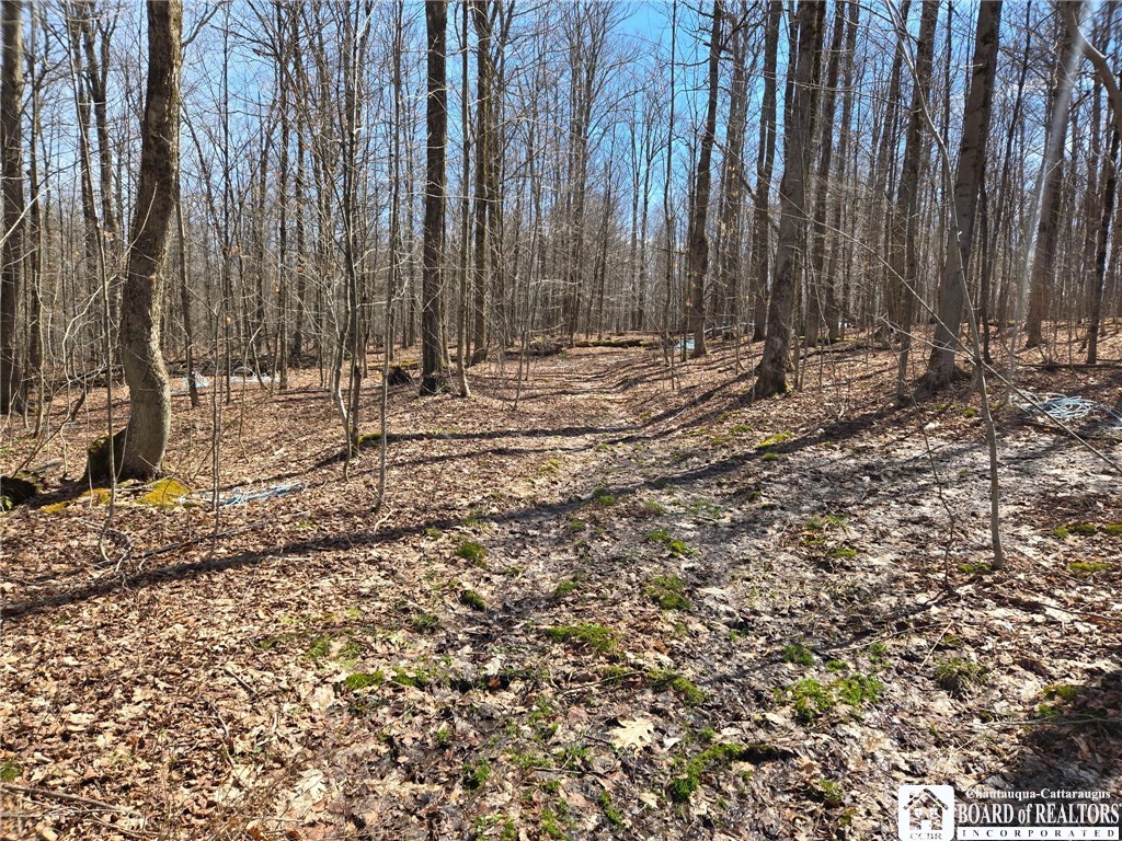 0 West Cobb Road Falconer, NY 14733 - Photo 2 of 49