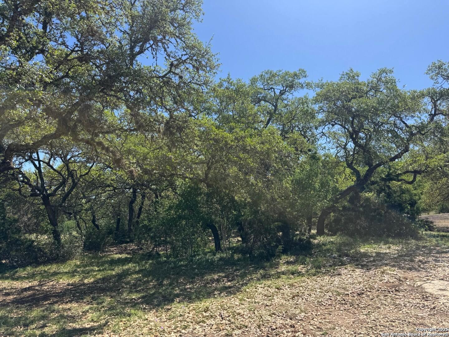 2485 Bump Gate Road Pipe Creek, TX 78063 - Photo 27 of 42 a view of a forest filled with trees