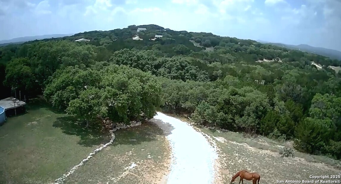 2485 Bump Gate Road Pipe Creek, TX 78063 - Photo 42 of 42 a view of a street with a forest