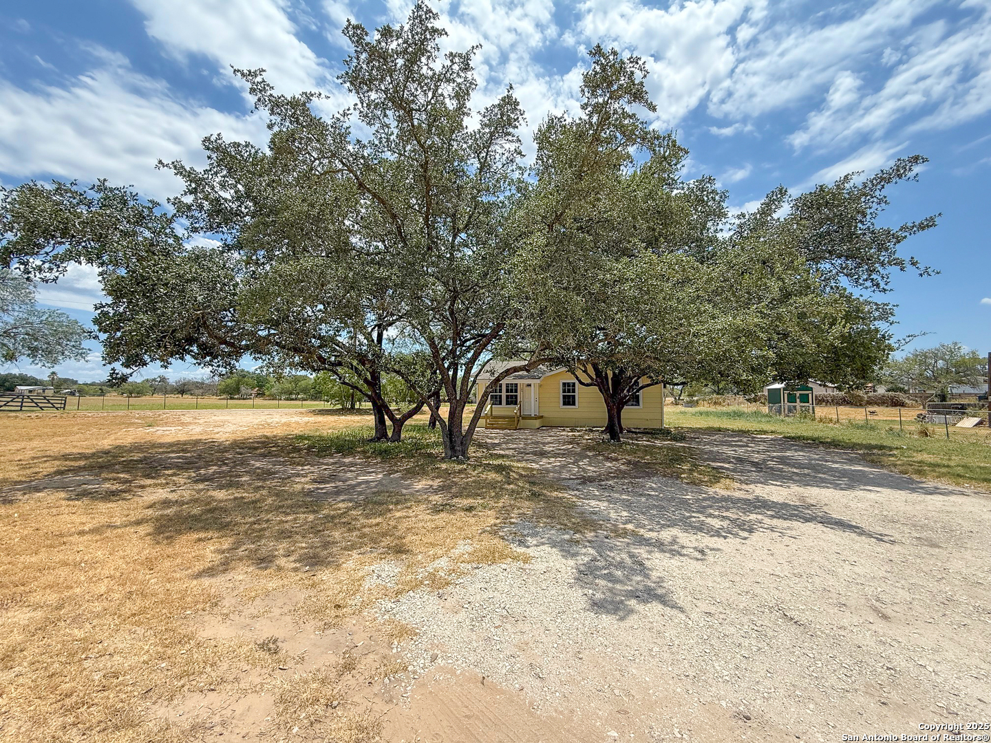 303 Davis Avenue Devine, TX 78016 - Photo 3 of 16 a view of a yard with a tree
