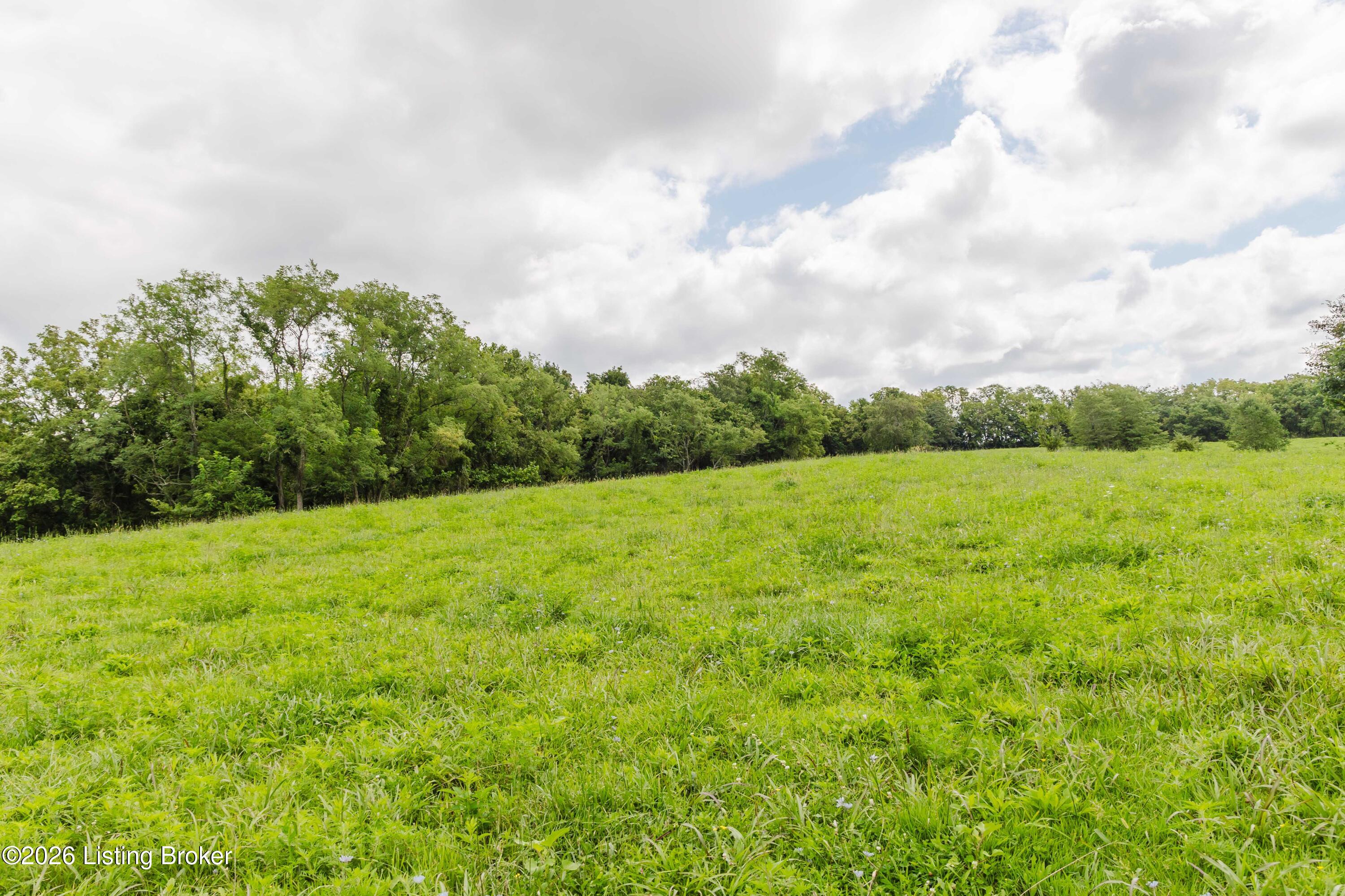 7438 Bagdad Road Bagdad, KY 40003 - Photo 26 of 78 7438 and 5015 Bagdad Rd-25