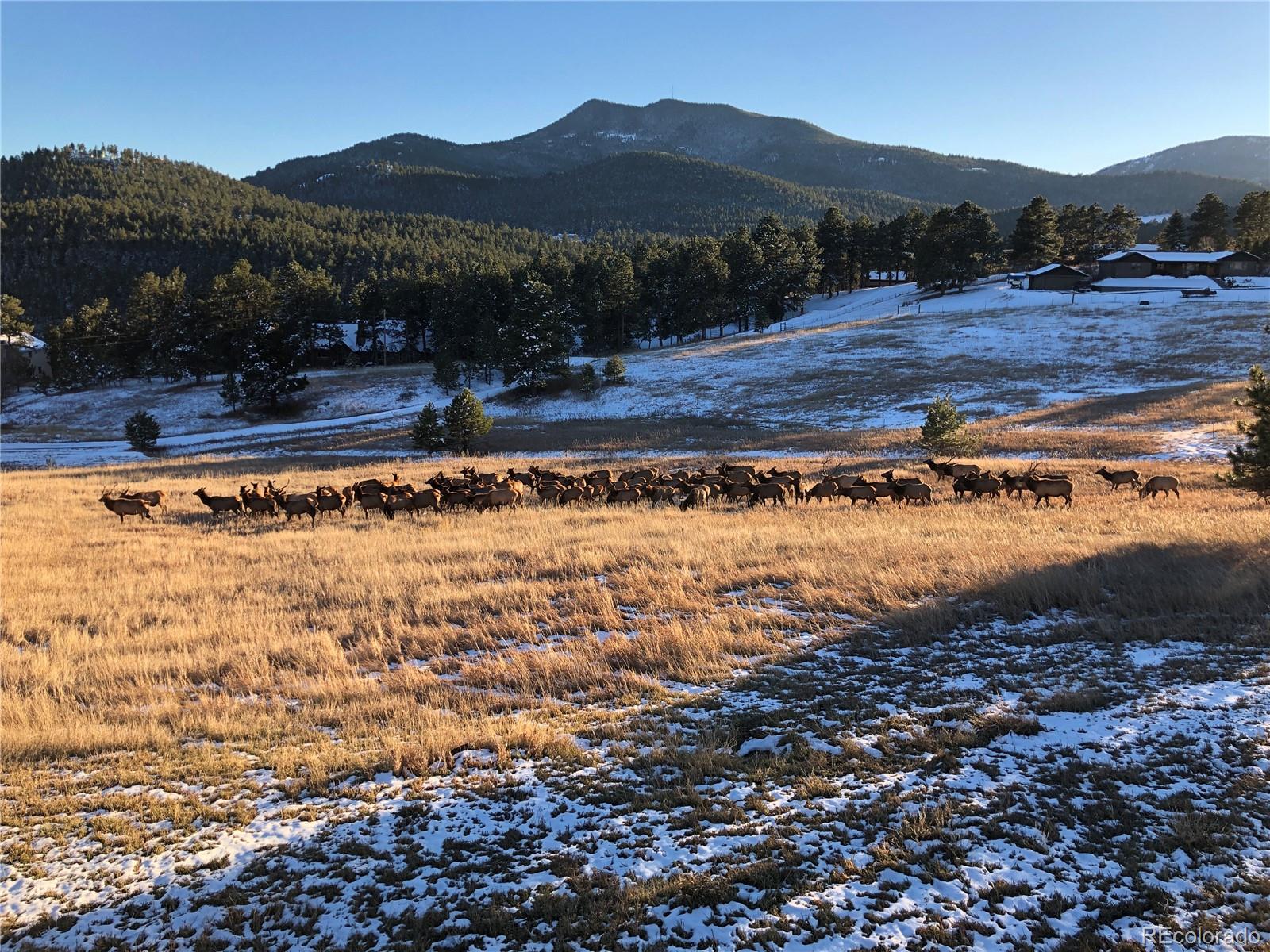 22226 Meadow View Road Morrison, CO 80465 - Photo 40 of 40