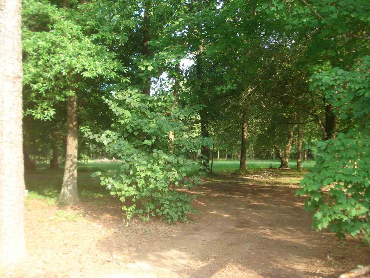 1221 Bill Poole Road Rougemont, NC 27572 - Photo 7 of 17 Photo 7