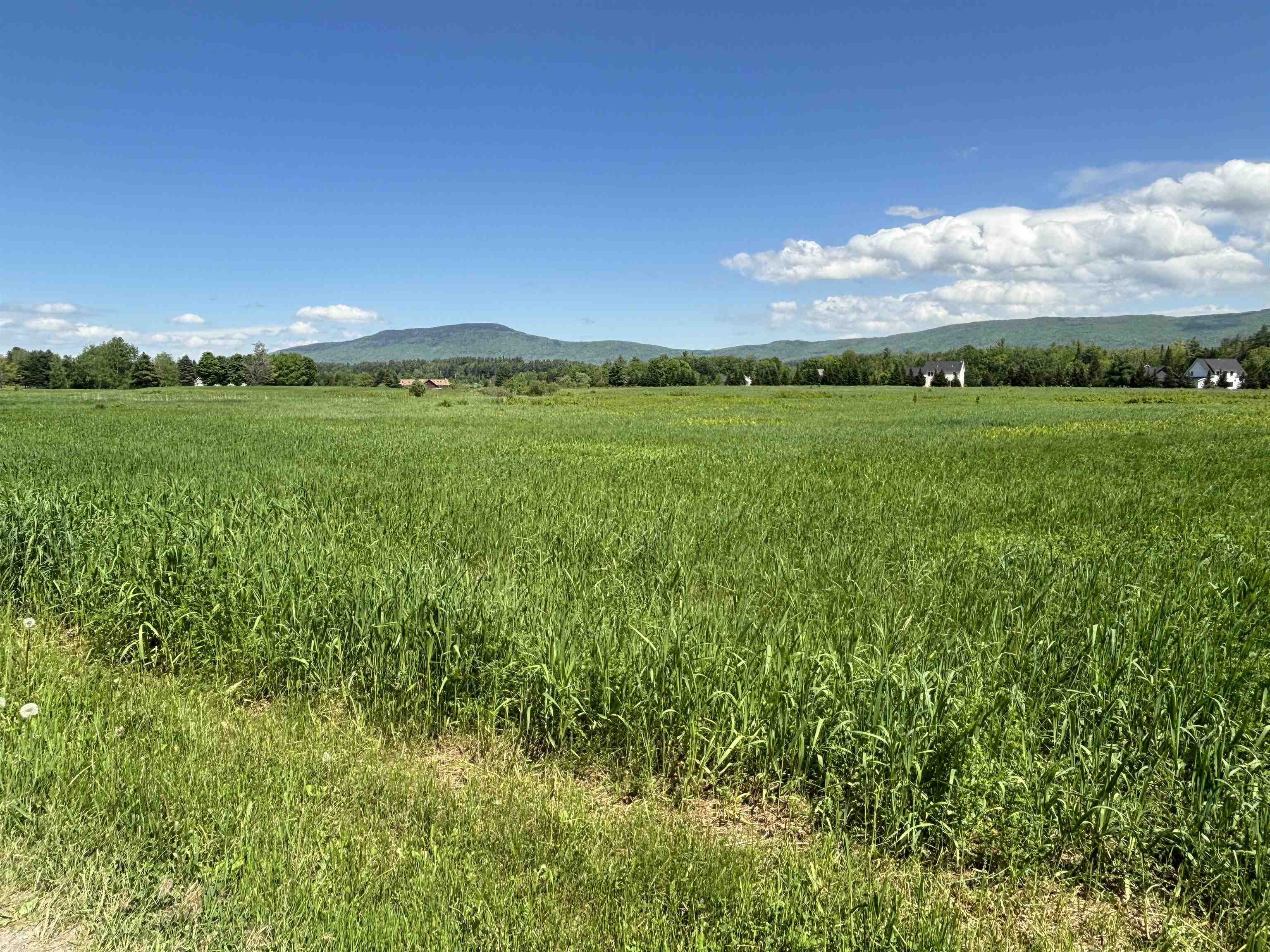 Lot #4 Lawrence Road, Unit 4 Morristown, VT 05661 - Photo 5 of 9