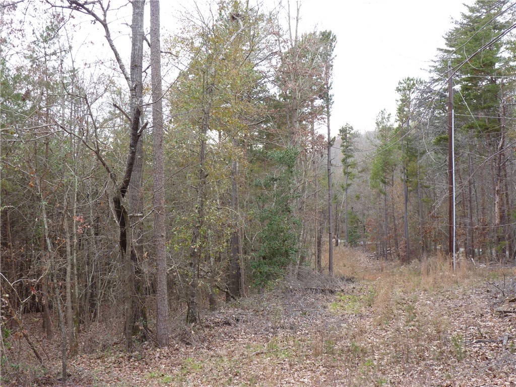 Future Dev Sandy Point Dr Future Dev Sandy Point Drive Anderson, SC 29625 - Photo 3 of 17 Gallery Image 3