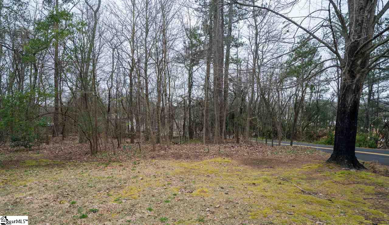 0 Hillandale Road Greenville, SC 29609 - Photo 4 of 36 Gallery Image 4