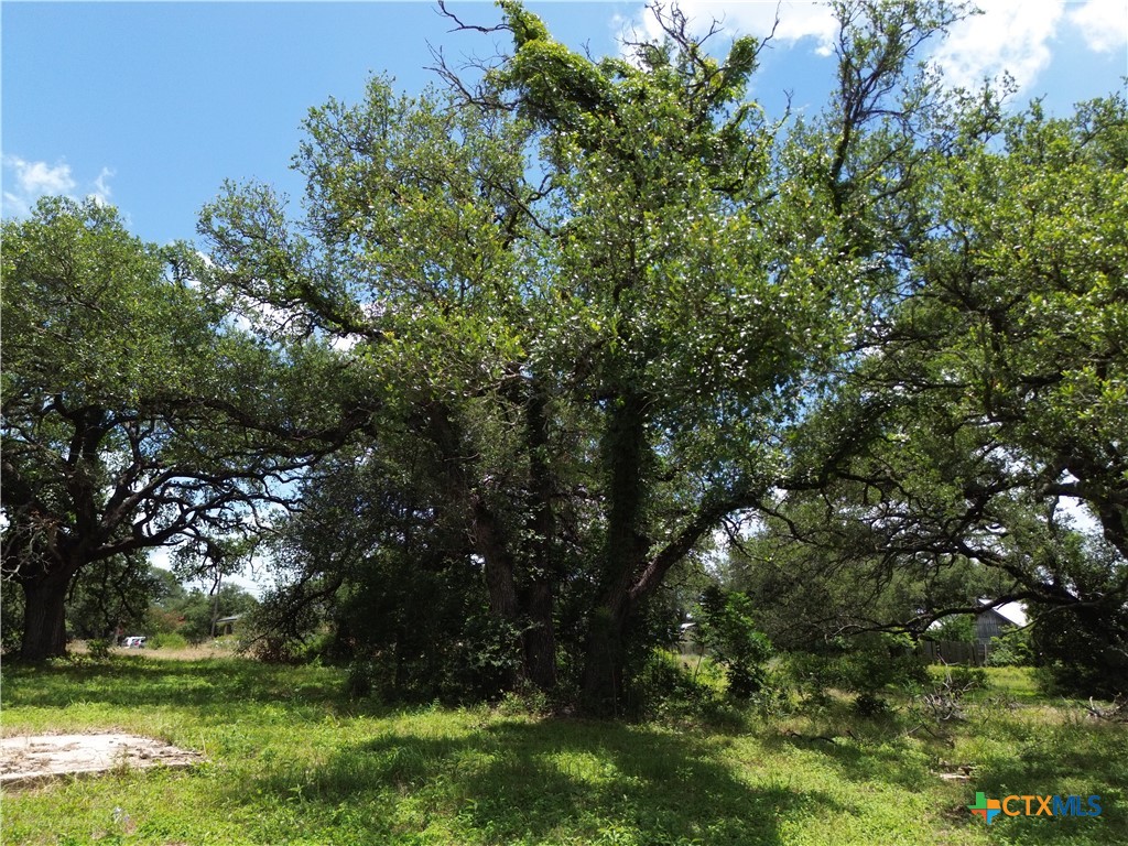 731 Santa Maria Road Salado, TX 76571 - Photo 10 of 15
