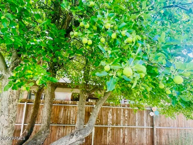 $429,000 | 1310 South Stephens Drive, Pinetop, AZ 85935