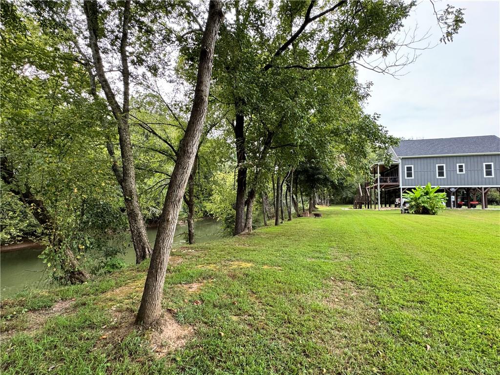 250 Hook Road Northeast Ranger, GA 30734 - Photo 110 of 114 a backyard of a house with lots of green space