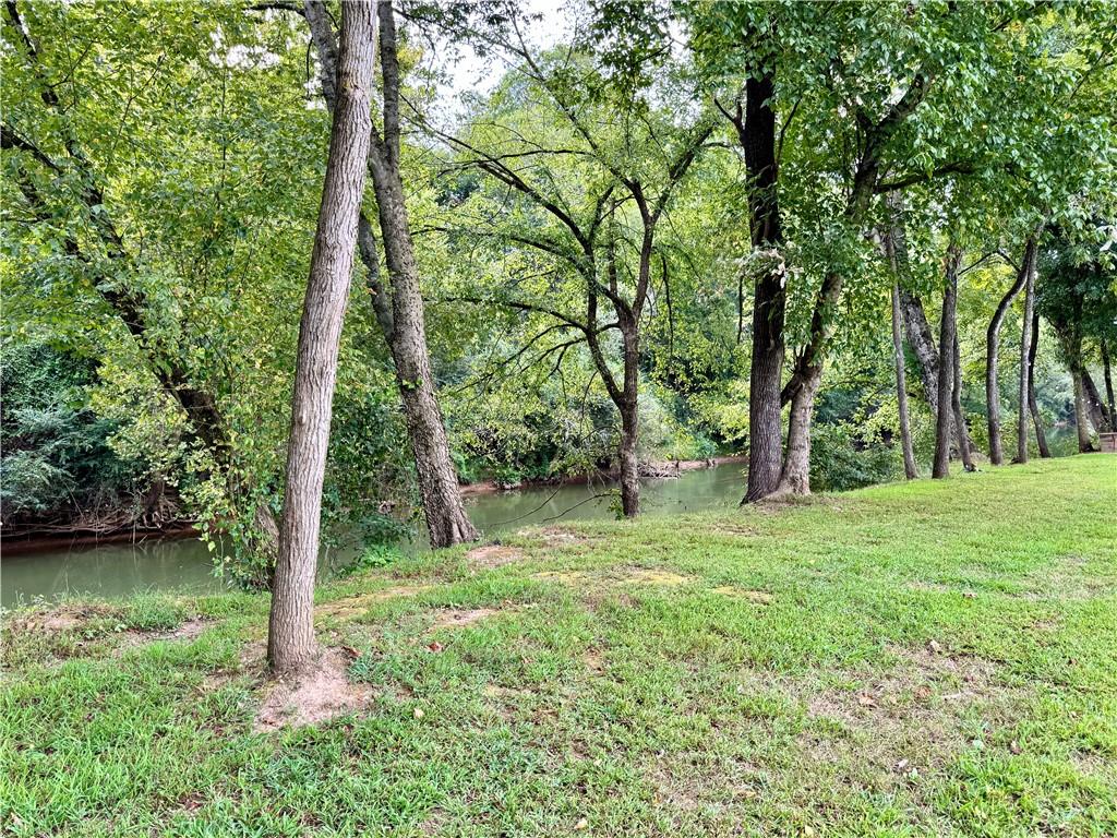 250 Hook Road Northeast Ranger, GA 30734 - Photo 112 of 114 a view of a garden with a tree