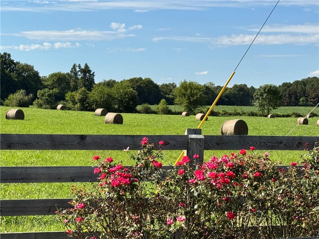 250 Hook Road Northeast Ranger, GA 30734 - Photo 83 of 114