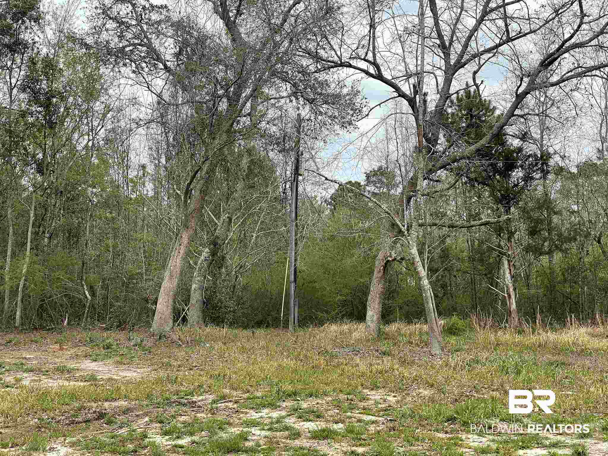 11180 Henderson Camp Road Grand Bay, AL 36541 - Photo 9 of 9