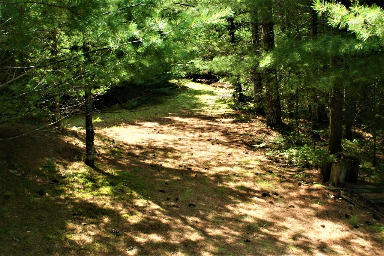 3780 Aldridge Lake Road Eagle River, WI 54521 - Photo 17 of 17 Gallery Image 17